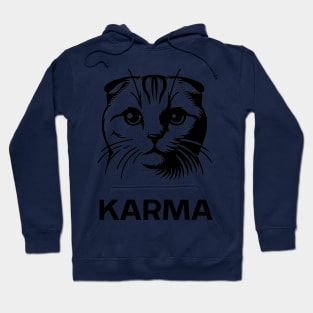 Karma Is A Cat - Taylor's Version Hoodie